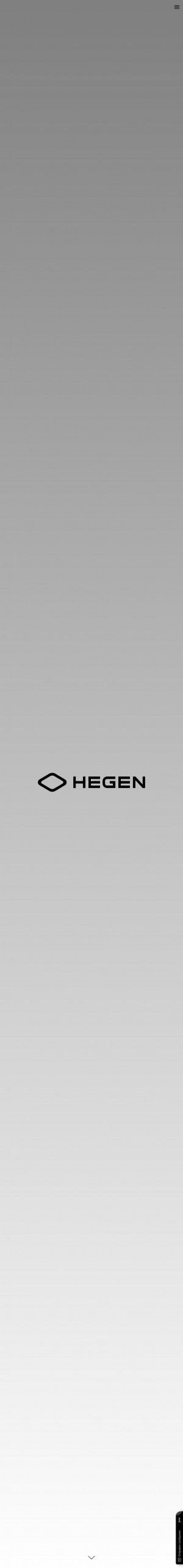 Предпросмотр для hegen.ru — Hegen Group