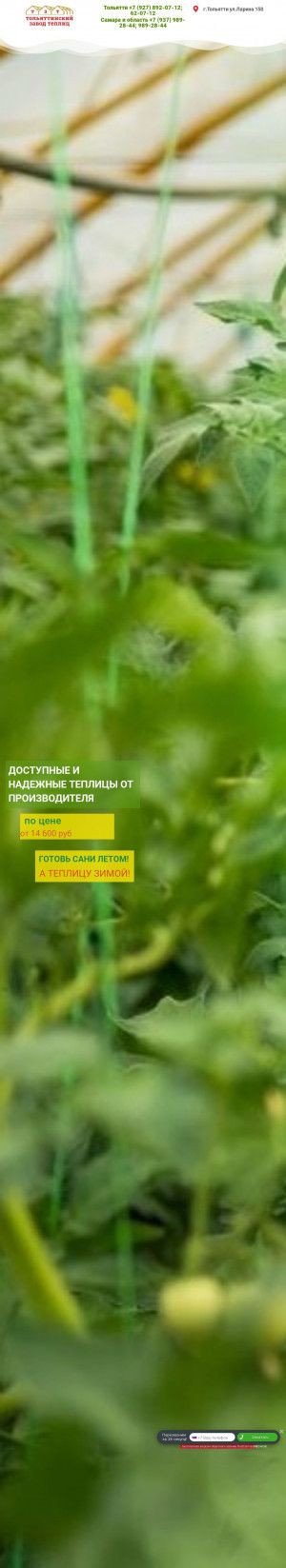 Предпросмотр для www.tzt63.ru — Спектр