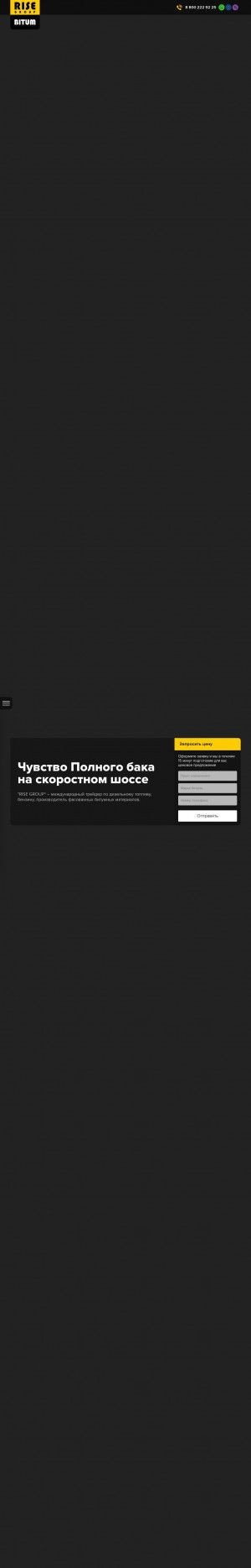 Предпросмотр для www.bitum-rise.ru — Дорожные Инновационные Системы
