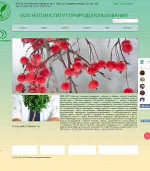 Предпросмотр для www.лесрб.рф — НПП институт природопользования