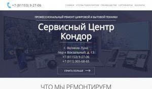 Предпросмотр для remont-60.ru — СЦ Samsung
