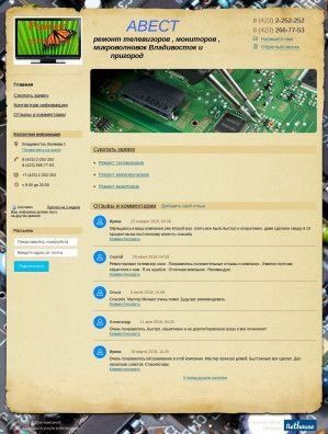 Предпросмотр для avestvlk.nethouse.ru — Центр ремонта аудио-видео техники