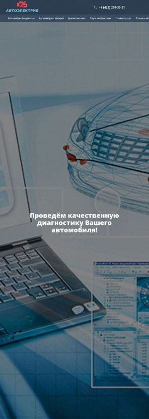 Предпросмотр для prim-sto.ru — Автоэлектрик