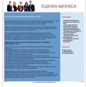 Предпросмотр для businessassessment.ru — Бизнес-Аудит - Воронеж