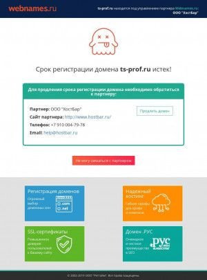 Предпросмотр для www.ts-prof.ru — ТС Профиль-Групп