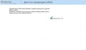 Предпросмотр для www.vholodok.ru — Компания Айвенго