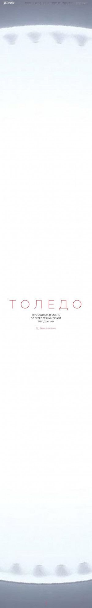 Предпросмотр для www.toledo24.ru — Толедо