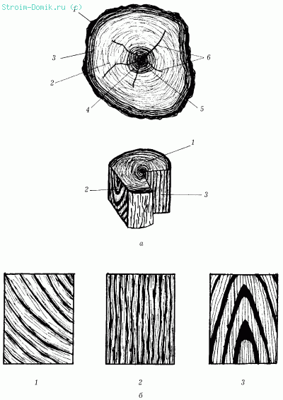 Сделайте кольцевой надрез на древесной ветки
