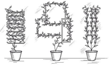 Растительный дизайн балконов, лоджий, террас, беседок