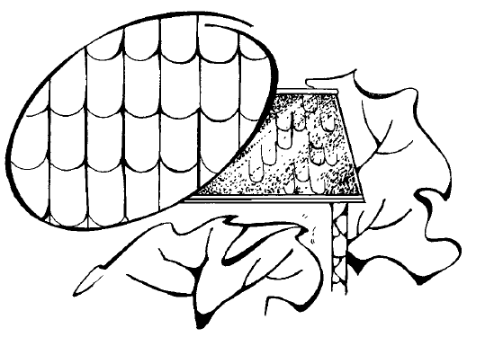 Рис. 30. Кладка из сланцевых плиток прямоугольной формы со скругленными краями