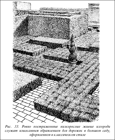 Рис. 33. Ровно постриженные низкорослые живые изгороди служат изысканным обрамлением для дорожек в большом саду, оформленном в классическом стиле