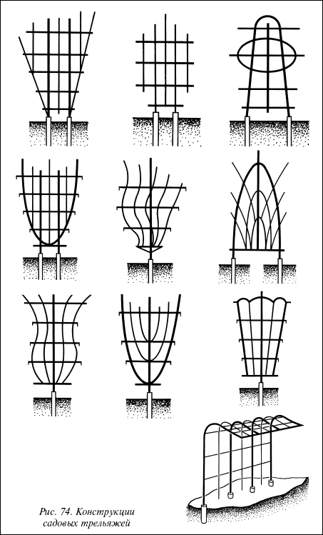 Рис. 74. Конструкции садовых трельяжей